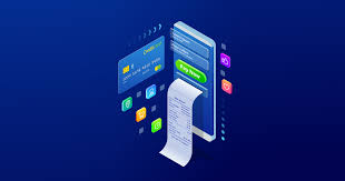 Secure online Nadi payment