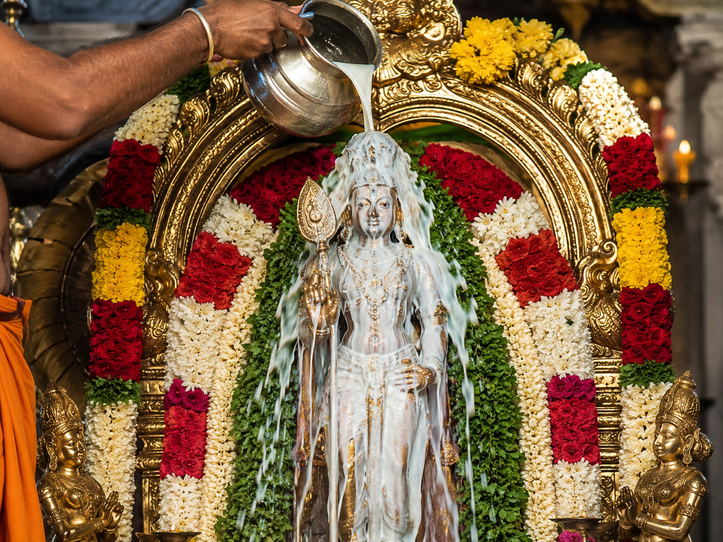 Milk offering ritual with shri agasthiya saptarishi nadi jothidam