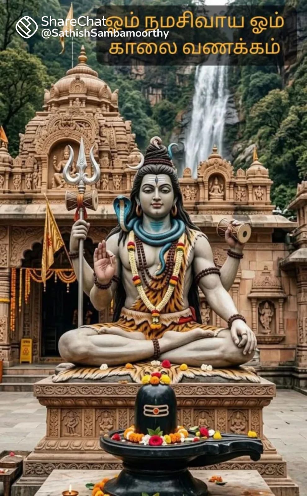 Best Nadi astrology