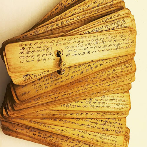 Best Nadi astrology in world